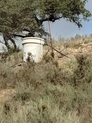 VENTA FINCA EN SIERRA DE ARACENA Y PICOS DE A