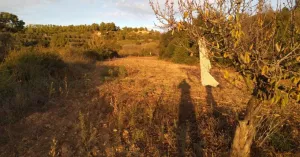 Finca rústica en venta