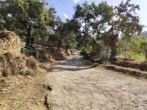 ¡¡¡ FINCA IDEAL PARA MONTAR NEGOCIO RURAL!!!