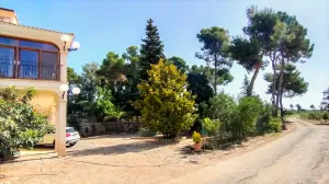 OPORTUNIDAD DE INVERSION OLEOTURISMO
