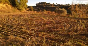 Finca rústica en venta