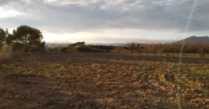 Finca rústica en venta