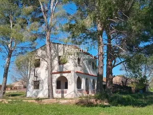 Finca Viñedo con Masia en Produccion