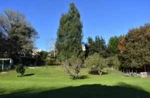 Se vende chalet con finca urbana
