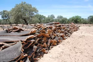 Excelente Finca de 435ha a 15 km de Badajoz