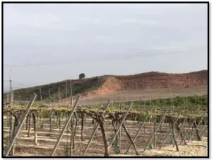 FINCA EN ALHAMA DE MURCIA