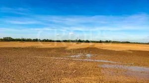 Finca agrícola de regadío en Madrid