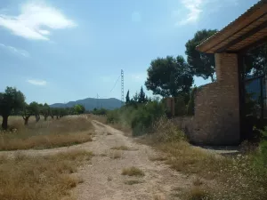 Finca recreativa en Villena, Alicante,