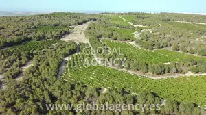 Mansión Lujo, Campo de Golf Privado, 500 ha,