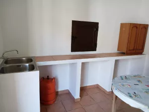 finca  pequeña de olivos