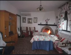 finca  pequeña de olivos