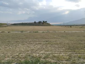 Disponibilidad cultivo de cáñamo industrial