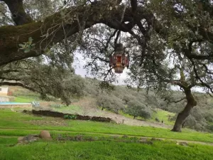 VENTA FINCA EN SIERRA DE ARACENA Y PICOS DE A