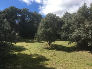 VENTA FINCA RUSTICA SEGOVIA