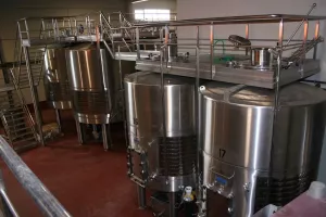 Vendo bodega y viñedos D.O. Ribera de Duero