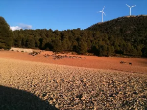FINCA CINEGETICA Y DE RECREO EN VALENCIA