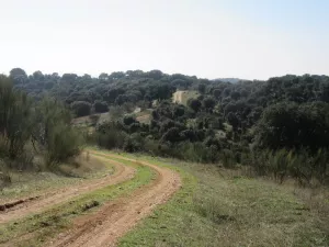 FINCA DE RECREO Y GANADERA EN GUADALAJARA