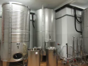 FINCA CON VIÑEDO EN ORENSE - 1362