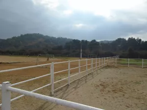 FINCA HIPICA Y DE RECREO EN SEVILLA - 1353