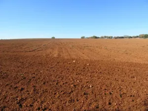 FINCA DE LABOR Y CAZA MENOR EN CIUDAD REAL