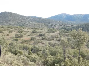 FINCA CINEGETICA EN ZARAGOZA - 1327