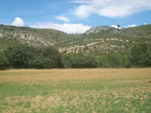 FINCA CINEGETICA EN CUENCA - 1315