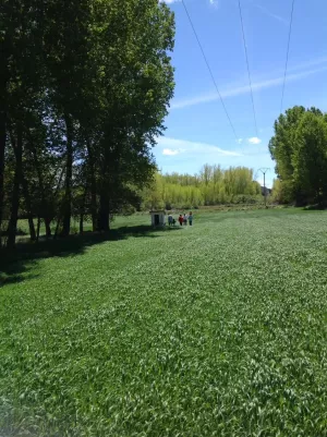 Finca agrícola de 3ha con casa de 200m2