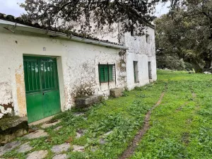 Finca 114 ha de dehesa en Montánchez, Cáceres