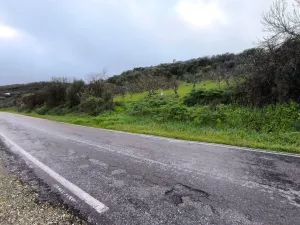 Finca 1,6 ha en Salvaleón, Badajoz