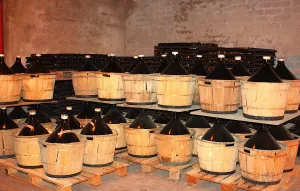 Bodega en venta de vinos naturales