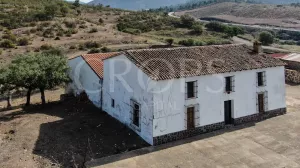Finca ganadera en Huelva con vivienda y caza