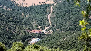 Venta finca de caza con vivienda en Zaragoza
