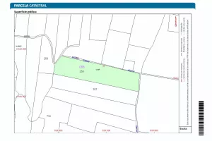 539 olivos de secano en 27.823 m2