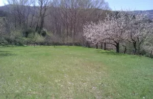 SE VENDE finca en URRIA (Norte de Burgos)