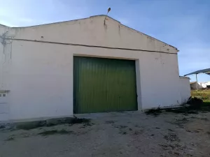 Finca de 183 ha (60 de REGADIO)