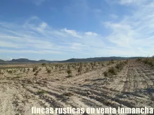 finca en venta 23 has. encina para trufa
