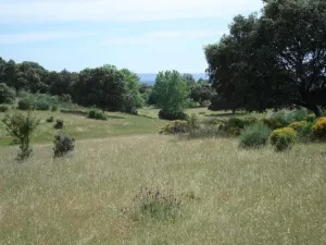 Finca de recreo en venta en Jaraíz de la Vera