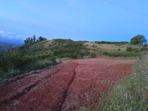 FINCA 31.616 M2 GRAN CANARIA (ISLAS CANARIAS)