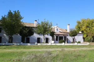Espectacular finca en Toledo Ref. 1528