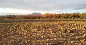 Finca rústica en venta