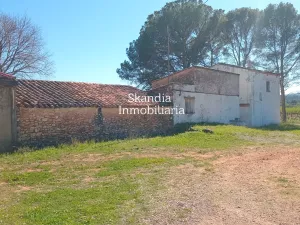 Finca Viñedo con Masia en Produccion