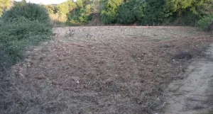 Finca rústica en venta