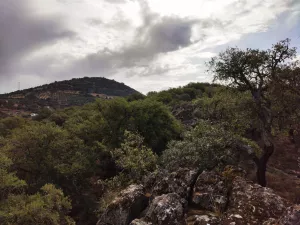 ¡¡¡ FINCA IDEAL PARA MONTAR NEGOCIO RURAL!!!