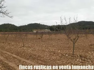 finca en venta 321 has viña olivar caza menor