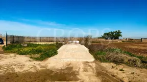 Finca agrícola de regadío en Madrid