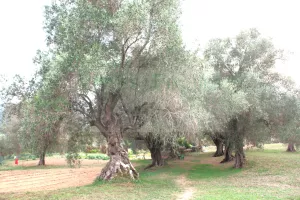 Masia rural con terreno en Costa Brava