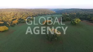 800 ha Río Naveg, Cortijo Lujo Caza Mayor