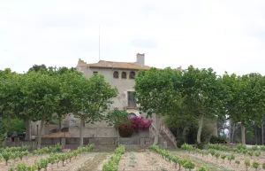 Masia medieval con viñedo en el Penedès