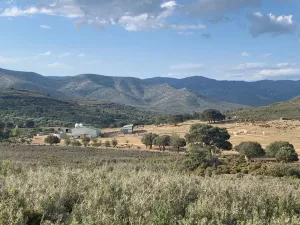 Se vende finca rústica en Catí, Castellón