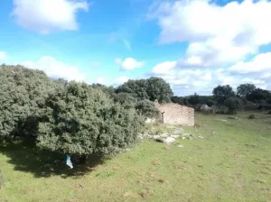 Finca en venta Zona Cáceres